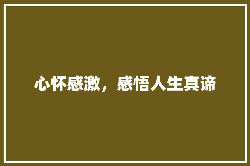 心怀感激，感悟人生真谛