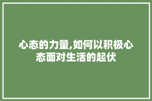 心态的力量,如何以积极心态面对生活的起伏 报告范文