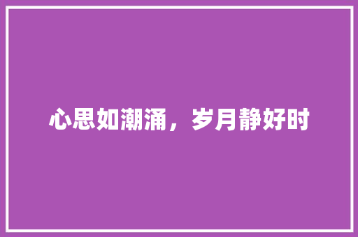 心思如潮涌，岁月静好时 会议纪要范文