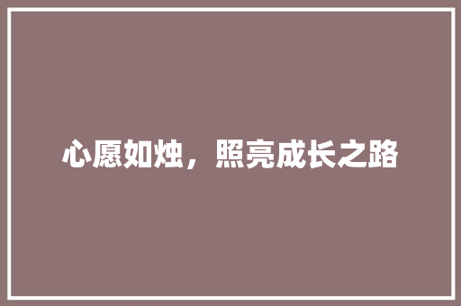 心愿如烛，照亮成长之路