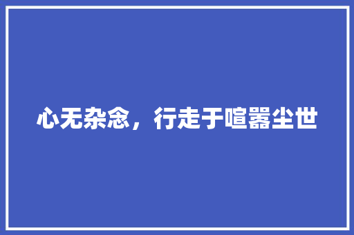 心无杂念，行走于喧嚣尘世