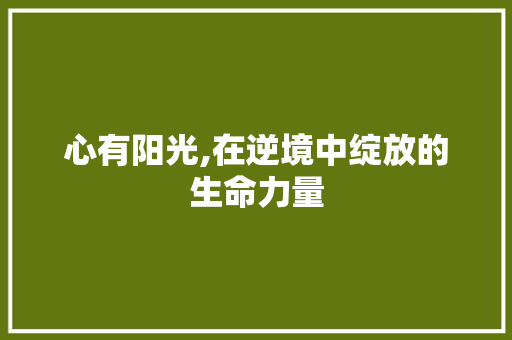 心有阳光,在逆境中绽放的生命力量