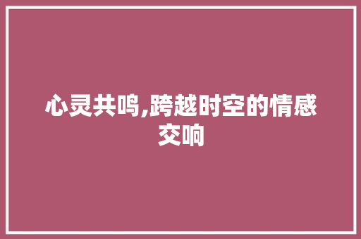 心灵共鸣,跨越时空的情感交响