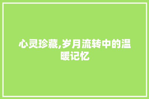 心灵珍藏,岁月流转中的温暖记忆