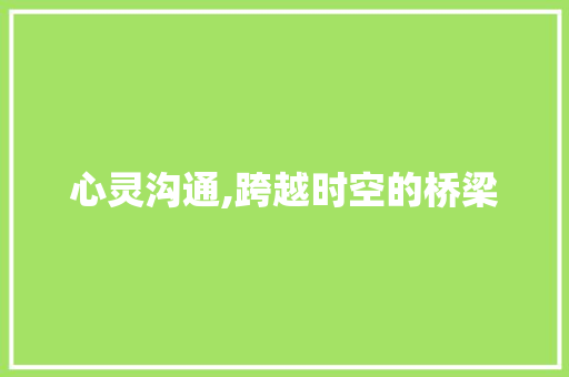 心灵沟通,跨越时空的桥梁