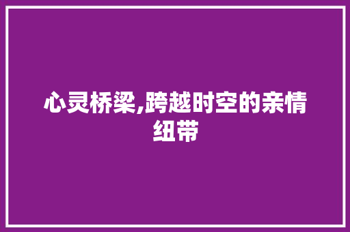 心灵桥梁,跨越时空的亲情纽带