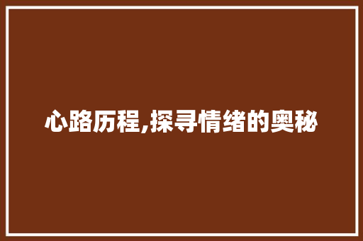 心路历程,探寻情绪的奥秘