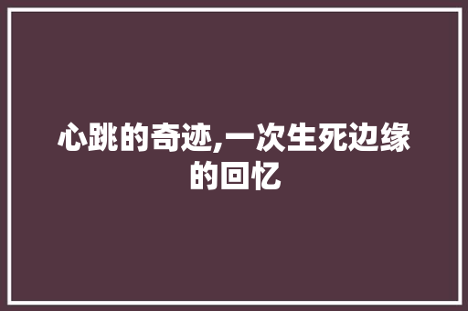 心跳的奇迹,一次生死边缘的回忆 书信范文