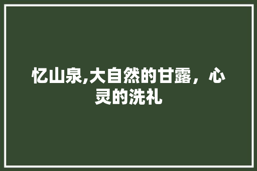 忆山泉,大自然的甘露，心灵的洗礼