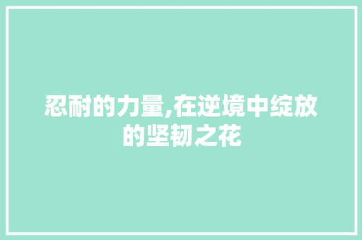 忍耐的力量,在逆境中绽放的坚韧之花