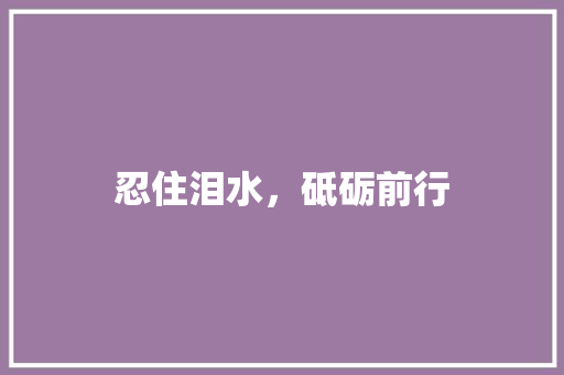 忍住泪水，砥砺前行