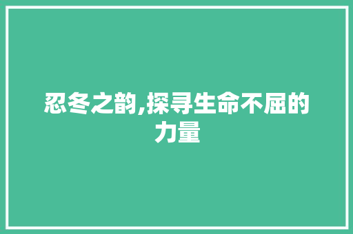 忍冬之韵,探寻生命不屈的力量