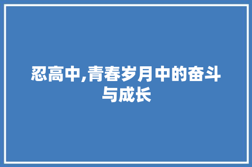 忍高中,青春岁月中的奋斗与成长 工作总结范文