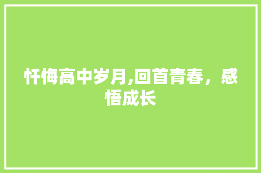 忏悔高中岁月,回首青春，感悟成长