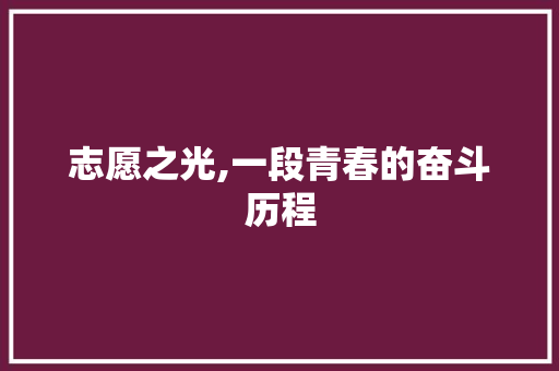 志愿之光,一段青春的奋斗历程