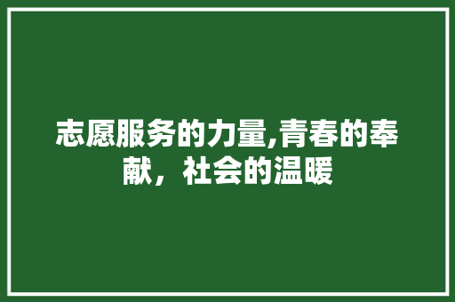 志愿服务的力量,青春的奉献，社会的温暖