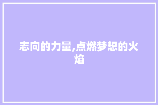 志向的力量,点燃梦想的火焰 求职信范文