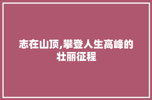 志在山顶,攀登人生高峰的壮丽征程