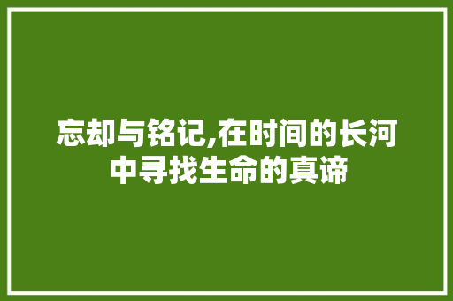 忘却与铭记,在时间的长河中寻找生命的真谛