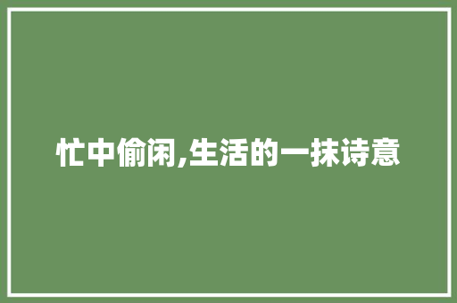 忙中偷闲,生活的一抹诗意