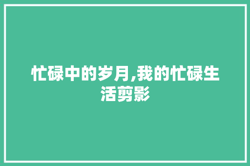 忙碌中的岁月,我的忙碌生活剪影