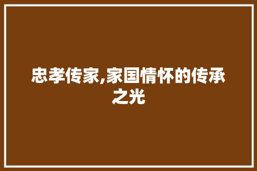 忠孝传家,家国情怀的传承之光