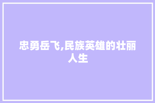 忠勇岳飞,民族英雄的壮丽人生