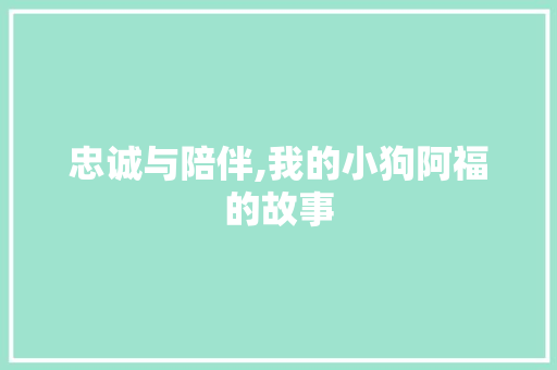 忠诚与陪伴,我的小狗阿福的故事