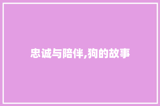 忠诚与陪伴,狗的故事