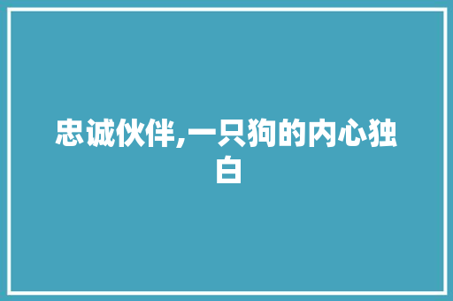 忠诚伙伴,一只狗的内心独白