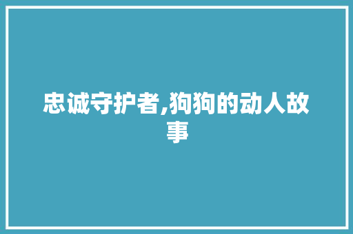 忠诚守护者,狗狗的动人故事 简历范文