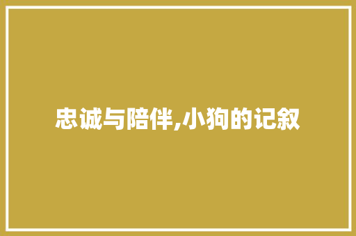 忠诚与陪伴,小狗的记叙 演讲稿范文