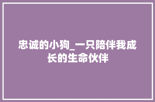 忠诚的小狗_一只陪伴我成长的生命伙伴