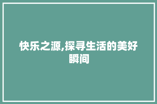 快乐之源,探寻生活的美好瞬间