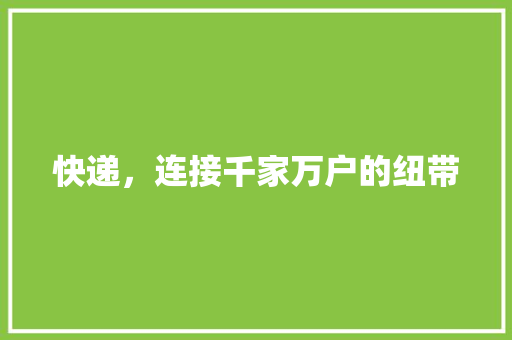 快递，连接千家万户的纽带