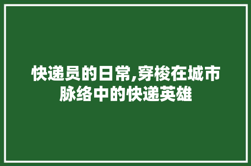 快递员的日常,穿梭在城市脉络中的快递英雄