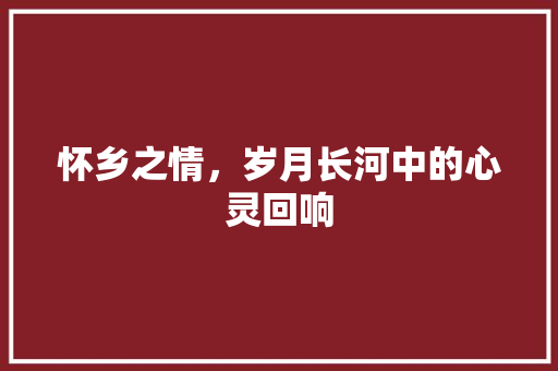 怀乡之情，岁月长河中的心灵回响