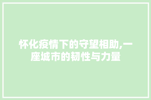 怀化疫情下的守望相助,一座城市的韧性与力量