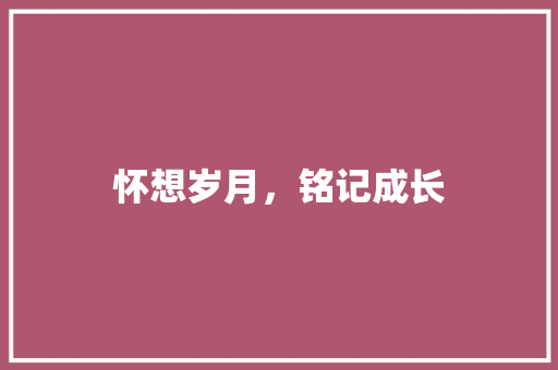 怀想岁月，铭记成长