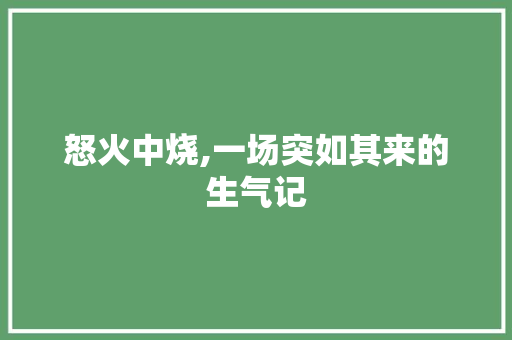 怒火中烧,一场突如其来的生气记