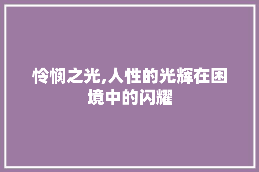 怜悯之光,人性的光辉在困境中的闪耀 报告范文