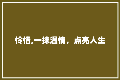 怜惜,一抹温情，点亮人生