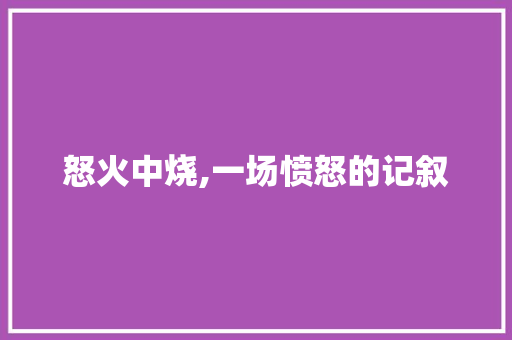 怒火中烧,一场愤怒的记叙