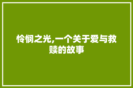 怜悯之光,一个关于爱与救赎的故事