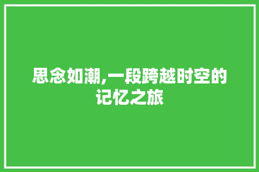 思念如潮,一段跨越时空的记忆之旅