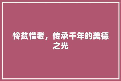 怜贫惜老，传承千年的美德之光