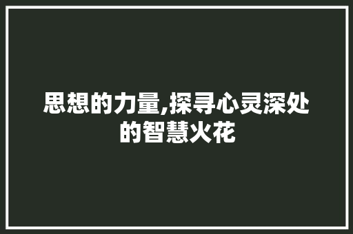 思想的力量,探寻心灵深处的智慧火花