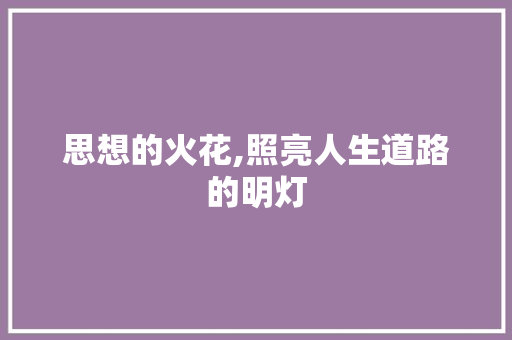 思想的火花,照亮人生道路的明灯