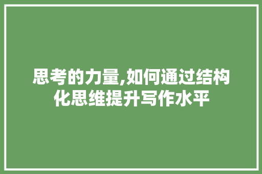 思考的力量,如何通过结构化思维提升写作水平