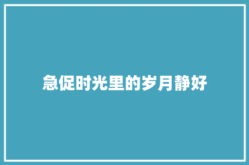 急促时光里的岁月静好